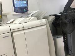 雷焰圖文設計制作 深耕上海，鑄就專業(yè)視覺與印刷服務典范